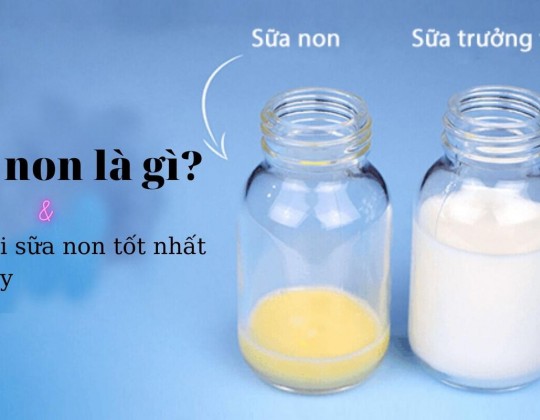 [Giải đáp] Sữa non có tác dụng gì cho bé?